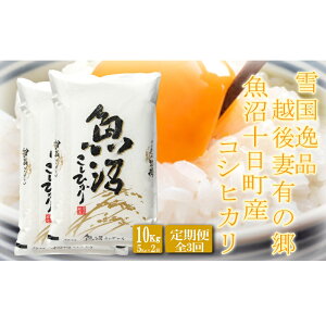 yӂ邳Ɣ[Łzցyፑi10kg×3z zȗL̋ \YRVqJ    Yn ~l h{  lC VN @͂F2025N10{ȍ~