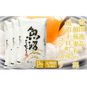 yӂ邳Ɣ[Łzցyፑi15kg×3z zȗL̋ \YRVqJ    ǎ ~l ɏ VN   S @͂F2025N10{ȍ~