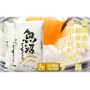 yӂ邳Ɣ[Łzցyፑi4kg×12z zȗL̋ \YRVqJ    ǎ ~l ɏ VN   S @͂F2025N10{ȍ~