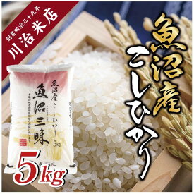 【ふるさと納税】令和7年産 魚沼産 コシヒカリ 5kg 米 こしひかり お米 コメ 新潟 魚沼 魚沼産 白米 送料無料 新潟県産 精米 産直 産地直送 契約農家 お取り寄せ 魚沼三昧 川治米店 新潟県 十日町市 　お届け：寄附確認後、順次発送