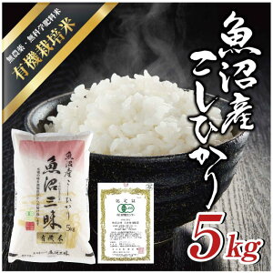 yӂ邳Ɣ[Łzߘa7NY Y RVqJ L@͔| 5kg  Ђ  R V  Y   VY  Y Yn L@͔|  O 쎡ēX