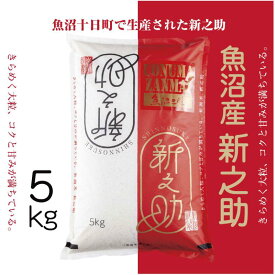 【ふるさと納税】令和7年産 魚沼産 新之助 5kg 米 お米 コメ プレミアム米 新潟 魚沼 魚沼産 白米 送料無料 新潟県産 精米 産直 産地直送 契約農家 お取り寄せ 魚沼三昧 川治米店 新潟県 十日町市 大粒 甘み 　お届け：寄附確認後、順次発送