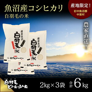 yӂ邳Ɣ[ŁzyʔNtzߘa7NY _ƒIYRVqJuHт̕āv (2kg×3) 6kg    @͂F101JnBʔNtɂĂ͂܂B