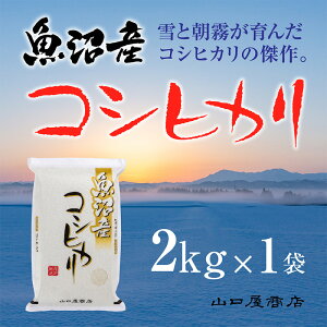 yӂ邳Ɣ[ŁzuI\炿vYRVqJ 2kg   R @͂F