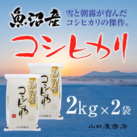 【ふるさと納税】「厳選☆十日町育ち」魚沼産コシヒカリ　2kg×2袋　【 お米 米 コメ コシヒカリ 魚沼産 】　お届け：順次発送