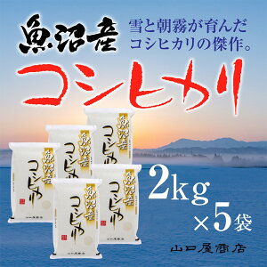 yӂ邳Ɣ[ŁzuI\炿vYRVqJ 2kg×5   R @͂F