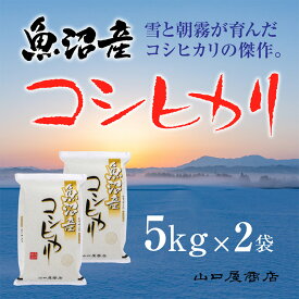 【ふるさと納税】【厳選☆十日町育ち】魚沼産コシヒカリ　5kg×2袋　【 お米 米 コメ コシヒカリ 魚沼産 】　お届け：順次発送