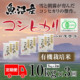 【ふるさと納税】定期便 全3回 有機栽培米 魚沼産コシヒカリ 5kg×2袋 お米 コメ 　お届け：寄附確認月の翌月より発送いたします。