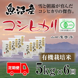 【ふるさと納税】定期便 全6回 有機栽培米 魚沼産コシヒカリ 5kg お米 コメ 　お届け：寄附確認月の翌月より発送いたします。