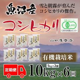 【ふるさと納税】定期便 全6回 有機栽培米 魚沼産コシヒカリ 5kg×2袋 お米 コメ 　お届け：寄附確認月の翌月より発送いたします。