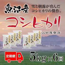 【ふるさと納税】定期便 全6回 魚沼産コシヒカリ 5kg お米 米 コメ 　お届け：寄附確認月の翌月より発送いたします。
