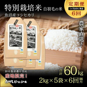 yӂ邳Ɣ[ŁzyʔNtzߘa7NY y/1S6zYRVqJ ʍ͔|uHт̕āv(2kg×5)×6 60kg    @͂F101甭JnB