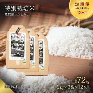 yӂ邳Ɣ[ŁzyʔNtzߘa7NY yց^S12z_ƒIYRVqJʍ͔|uHт̕āv(2kg×3)×12 72kg  @͂F101甭JnB̗
