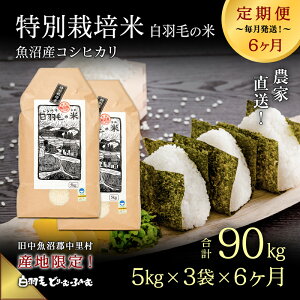 yӂ邳Ɣ[ŁzyʔNtzߘa7NY yց^S6z_ƒIYRVqJʍ͔|uHт̕āv15kg(5kg×3)×6 v90kg  @͂F101甭JnB