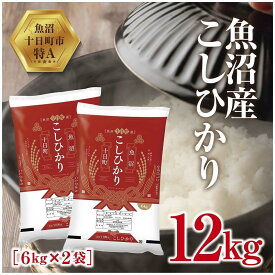 【ふるさと納税】【ふるさと納税】魚沼産 こしひかり 6kg ×2袋 計12kg 米 コシヒカリ お米 コメ 新潟 魚沼 魚沼産 白米 送料無料 新潟県産 精米 産直 産地直送 契約農家 お取り寄せ 壱成 新潟県 十日町市　【 おこめ こめ 】　【 おこめ こめ 】