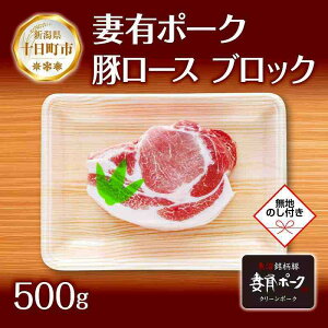 yӂ邳Ɣ[Łznl ȗL|[N  [X ubN 500g ܂|[N ؓ |[N IĂ uh  Ă BBQ  Mtg l ̂ s  V \
