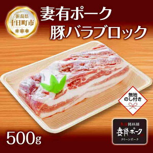 yӂ邳Ɣ[Łznl ȗL|[N  o ubN 500g ܂|[N ؓ |[N p `[V[  BBQ ①  i Mtg l ̂ s  V 
