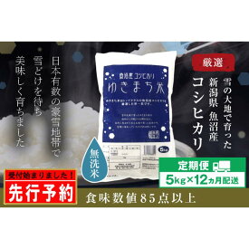 【ふるさと納税】【先行予約】【定期便／12ヶ月】無洗米 ゆきまち米5kg 極上魚沼産コシヒカリ 令和6年度米＜令和6年10月上旬～発送予定＞　【定期便・十日町市】　お届け：令和6年10月上旬～発送開始予定。毎月1回。全12回のお届け。