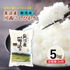 yӂ邳Ɣ[Łzyց^3z Y쐼Ђ5kg  RVqJ YRVqJ YЂ @͂FłA