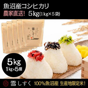 yӂ邳Ɣ[Łzߘa7NYIYRVqJy_ƒ!z 5kg(1kg×5)   R @͂F10ȍ~菀łA܂