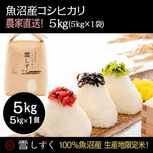 yӂ邳Ɣ[Łzߘa7NYIYRVqJy_ƒ!z 5kg×1   R @͂F10ȍ~菀łA܂