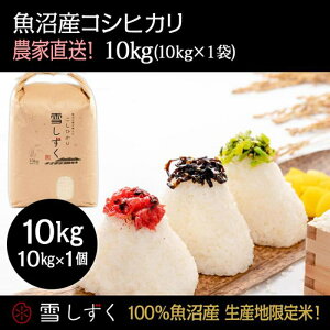 yӂ邳Ɣ[Łzߘa7NYIYRVqJy_ƒ!z 10kg×1   R @͂F10ȍ~菀łA܂