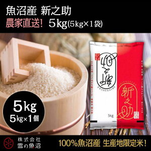 yӂ邳Ɣ[Łzߘa7NYIY VVy_ƒ!z5kg×1   R @͂F10ȍ~菀łA܂