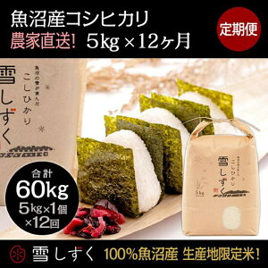 yӂ邳Ɣ[Łzyߘa7NYzցIYRVqJyv60kgz5kg×12  uh     ɂ ٓ aH Yn @͂F10ȍ~菀ł