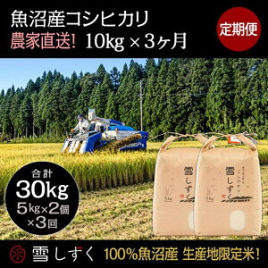 yӂ邳Ɣ[Łzyߘa7NYzցIYRVqJyv30kgz10kg×3  uh     ɂ ٓ aH Yn @͂F10ȍ~菀ł