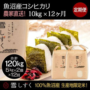 yӂ邳Ɣ[Łzyߘa7NYzցIYRVqJyv120kgz10kg×12  uh     ɂ ٓ aH Yn @͂F10ȍ~菀ł