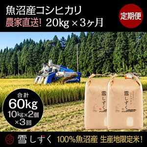 yӂ邳Ɣ[Łzyߘa7NYzցIYRVqJyv60kgz20kg×3  uh     ɂ ٓ aH Yn @͂F10ȍ~菀ł