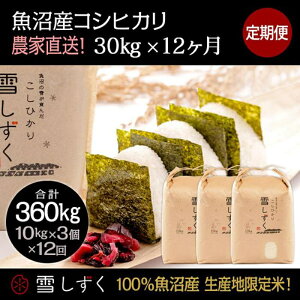 yӂ邳Ɣ[Łzyߘa7NYzցIYRVqJyv360kgz30kg×12  uh     ɂ ٓ aH Yn @͂F10ȍ~菀ł