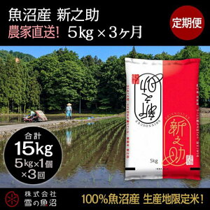 yӂ邳Ɣ[Łzyߘa7NYzցIY VVyv15kgz5kg×3    R @͂F10ȍ~菀łAtmF̗菇܂