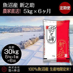 yӂ邳Ɣ[Łzyߘa7NYzցIY VVyv30kgz5kg×6    R @͂F10ȍ~菀łAtmF̗菇܂