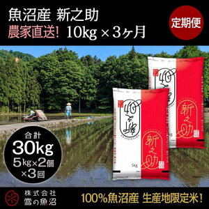 yӂ邳Ɣ[Łzyߘa7NYzցIY VVyv30kgz10kg×3    R @͂F10ȍ~菀łAtmF̗菇܂