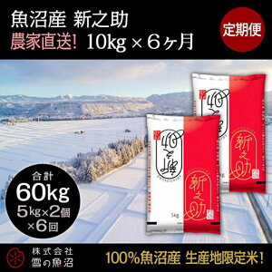 yӂ邳Ɣ[Łzyߘa7NYzցIY VVyv60kgz10kg×6    R @͂F10ȍ~菀łAtmF̗菇܂