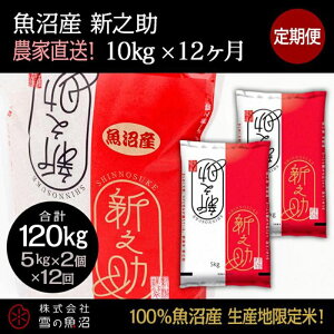 yӂ邳Ɣ[Łzyߘa7NYzցIY VVyv120kgz10kg×12    R @͂F10ȍ~菀łAtmF̗菇܂