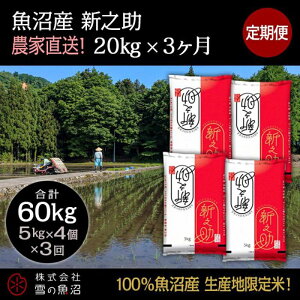 yӂ邳Ɣ[Łzyߘa7NYzցIY VVyv60kgz20kg×3    R @͂F10ȍ~菀łAtmF̗菇܂