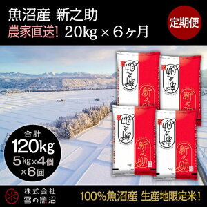 yӂ邳Ɣ[Łzyߘa7NYzցIY VVyv120kgz20kg×6    R @͂F10ȍ~菀łAtmF̗菇܂