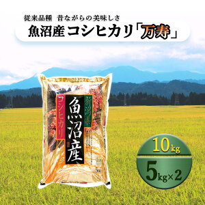 yӂ邳Ɣ[Łzʌ ]i YRVqJ  5kg×2@͂FłA