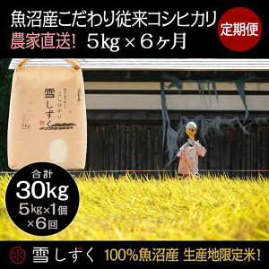 yӂ邳Ɣ[Łzyߘa7NYzցIY]RVqJyv30kgz5kg×6 uh     ɂ ٓ @͂F10ȍ~菀łA