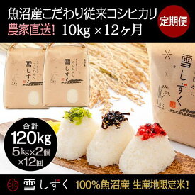 【ふるさと納税】【令和7年産】定期便！魚沼産こだわり従来コシヒカリ【合計120kg】毎月10kg×12回 ブランド米 銘柄米 白米 精米 ご飯 おにぎり お弁当 　お届け：10月以降より準備でき次第、寄付ご入金確認月の翌月より順次発送いたします