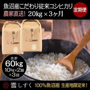 yӂ邳Ɣ[Łzyߘa7NYzցIY]RVqJyv60kgz20kg×3 uh     ɂ ٓ @͂F10ȍ~菀łA