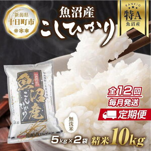 yӂ邳Ɣ[Łzyցzbāb V Y RVqJ  10kg×v12 čς N  Ђ iĂ̔KChtj  uh  @