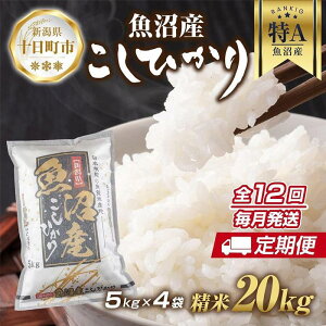 yӂ邳Ɣ[ŁzyցzV Y RVqJ  20kg×v12 čς N  ЂiĂ̔KChtj  uh  @͂Fm