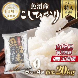 yӂ邳Ɣ[Łzyցzbāb V Y RVqJ  20kg×v12 čς N  ЂiĂ̔KChtj  uh  @