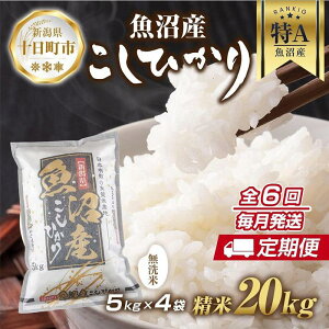 yӂ邳Ɣ[Łzyցzbāb V Y RVqJ  20kg×v6 čς N  ЂiĂ̔KChtj  uh  @