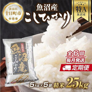 yӂ邳Ɣ[Łzyցz V Y RVqJ  25kg×v6 čς N  ЂiĂ̔KChtj  uh  @͂F