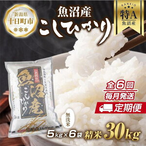 yӂ邳Ɣ[Łzyցzbāb V Y RVqJ  30kg×v6 čς N  ЂiĂ̔KChtj  uh  @