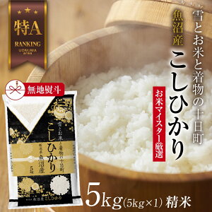 yӂ邳Ɣ[ŁzynlzY RVqJ 5kg  Ђ V iĂ̔KChtj   uh  @͂FmFA